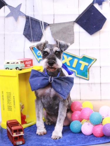 20230401もずくくん